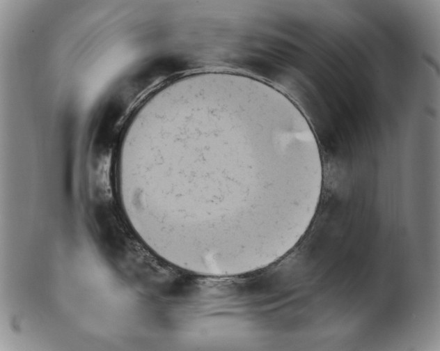 X0000100761150200807101721