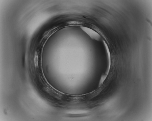 X0000100761151200807101721