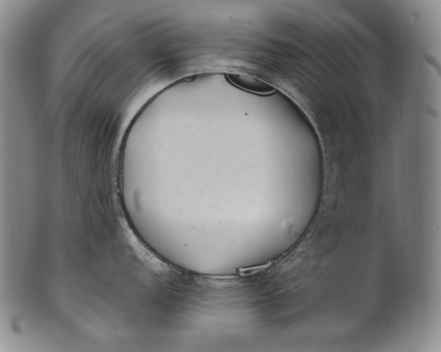 X0000100761152200807101721