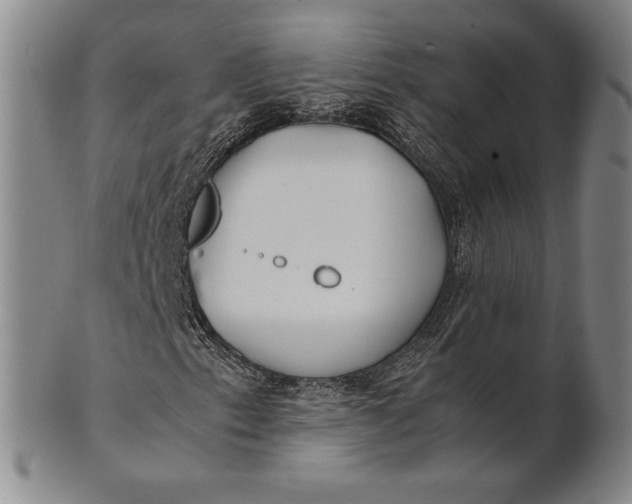 X0000100761153200807101720