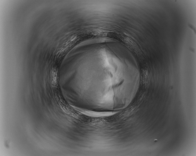 X0000100761154200807101720