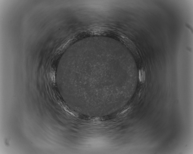 X0000100761155200807101720