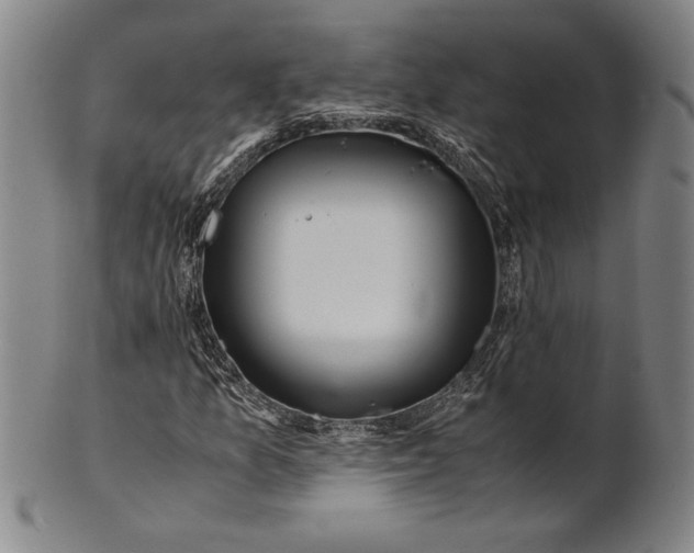 X0000100761157200807101720