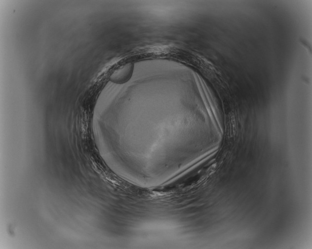 X0000100761158200807101720