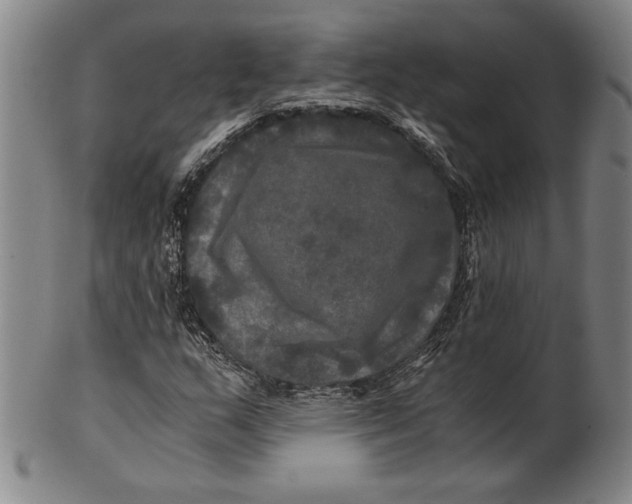 X0000100761159200807101720