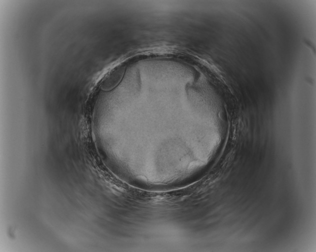 X0000100761160200807101720