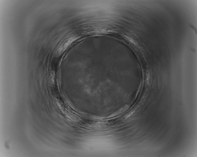 X0000100761161200807101720