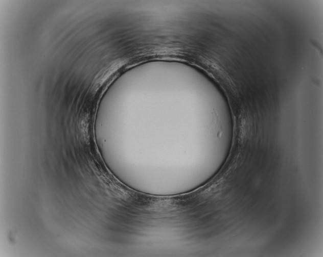 X0000100761162200807101720