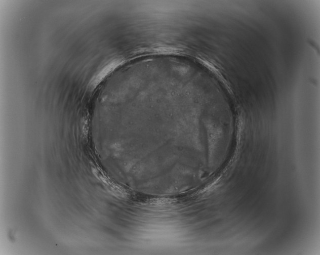 X0000100761163200807101720