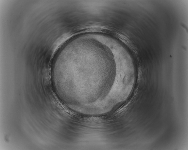 X0000100761164200807101720