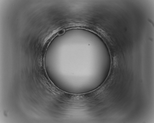 X0000100761165200807101720