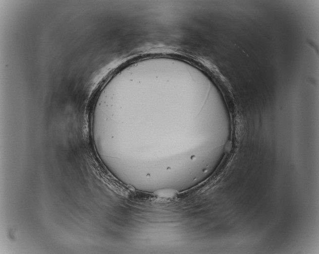 X0000100761167200807101720