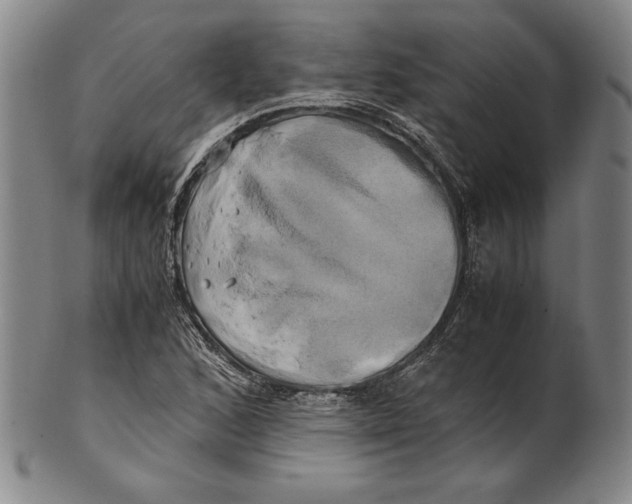 X0000100761168200807101720