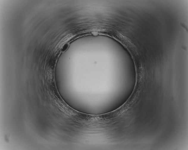 X0000100761169200807101720