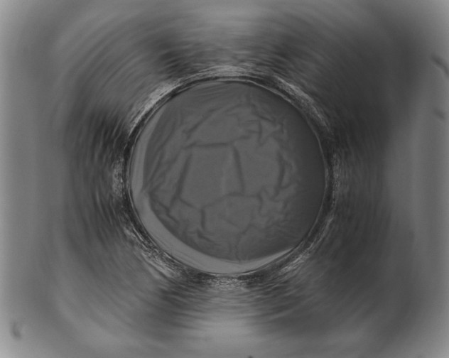 X0000100761170200807101720