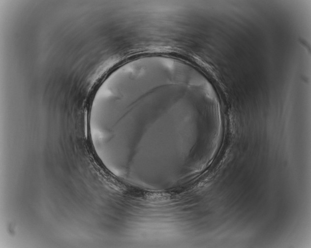 X0000100761171200807101720