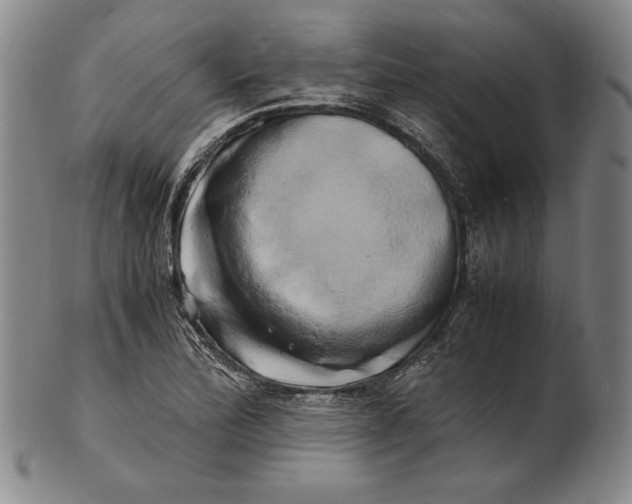 X0000100761172200807101720