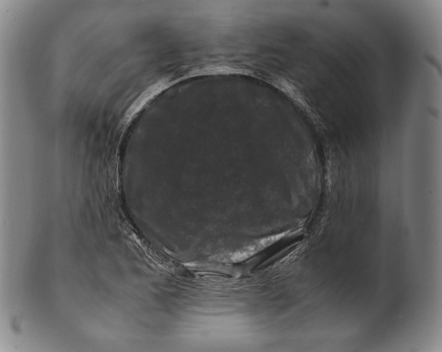 X0000100761173200807101720