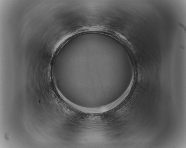 X0000100761174200807101720