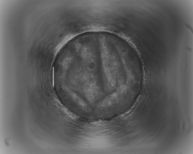 X0000100761175200807101720