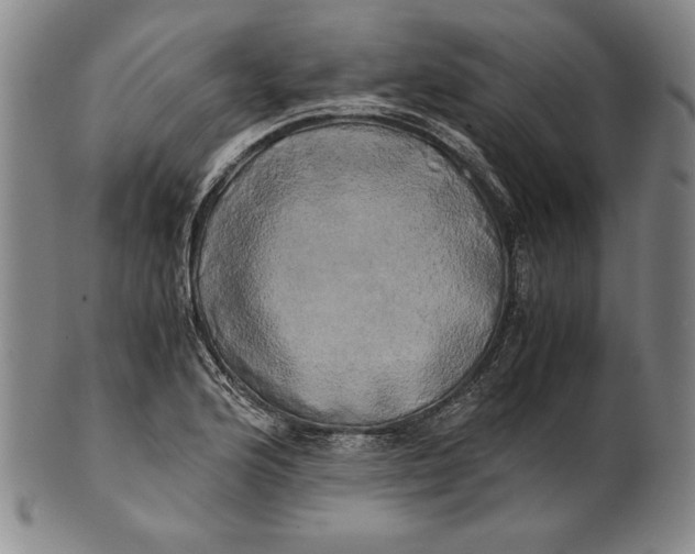 X0000100761176200807101720