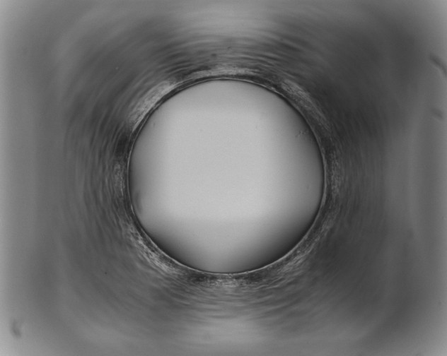 X0000100761177200807101720