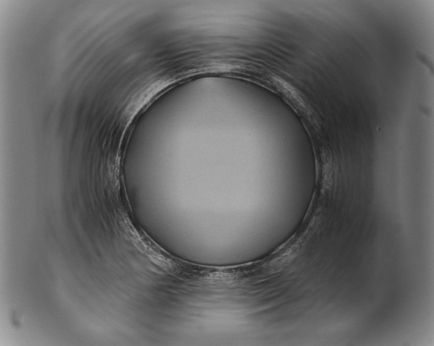 X0000100761178200807101720