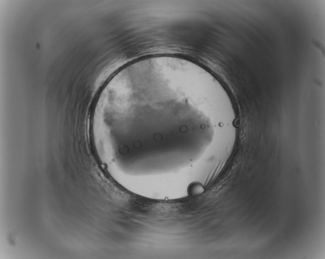 X0000100761179200807101720