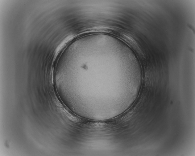 X0000100761180200807101720