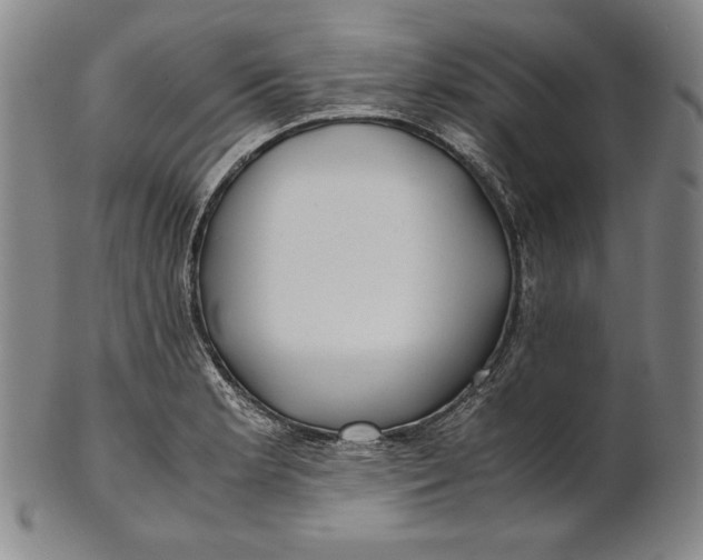 X0000100761181200807101720