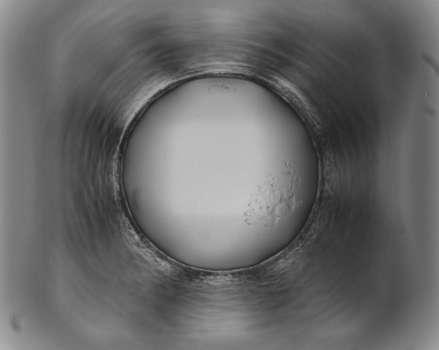 X0000100761182200807101720