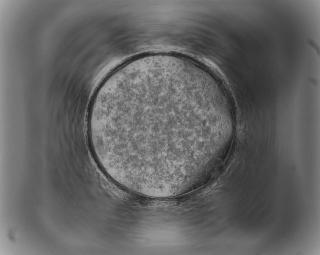 X0000100761183200807101720