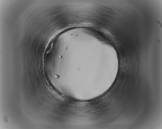 X0000100761184200807101720