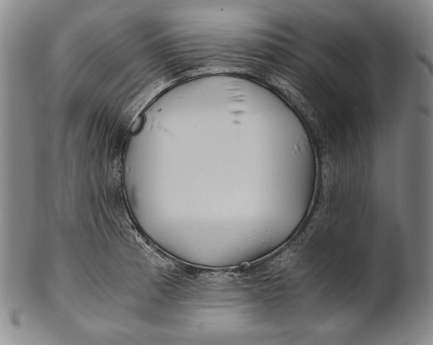 X0000100761185200807101720