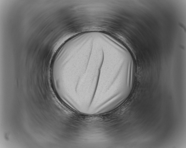 X0000100761187200807101720