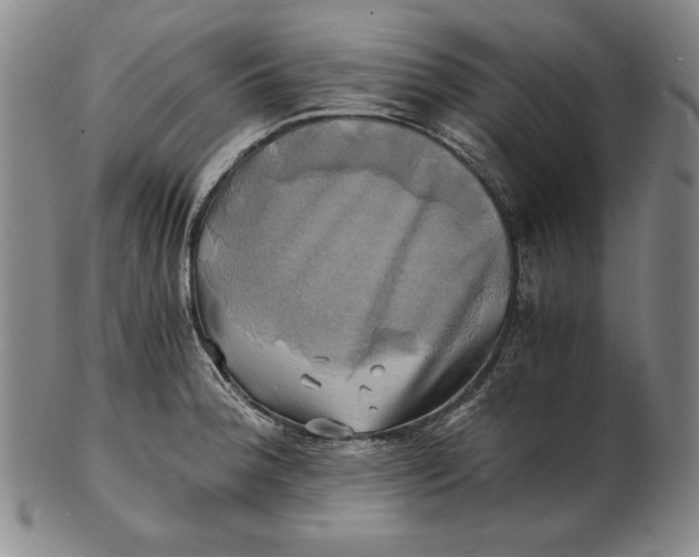 X0000100761188200807101720