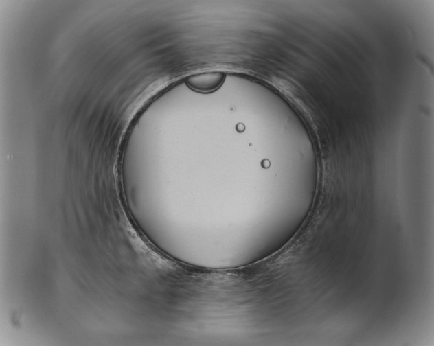 X0000100761189200807101720