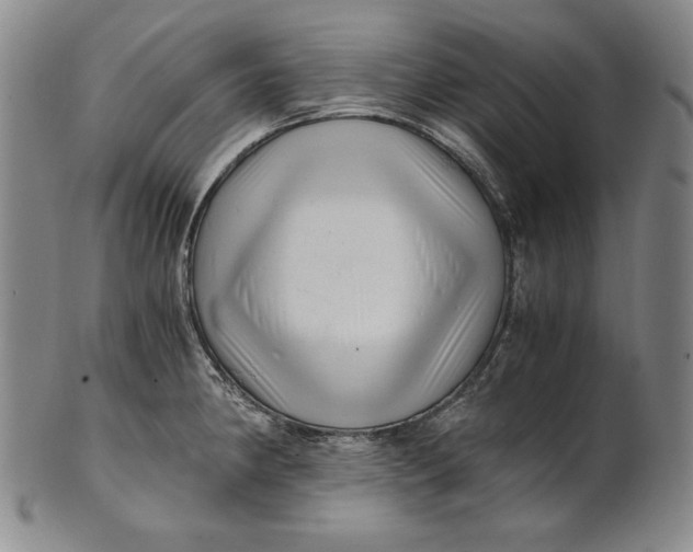 X0000100761190200807101720