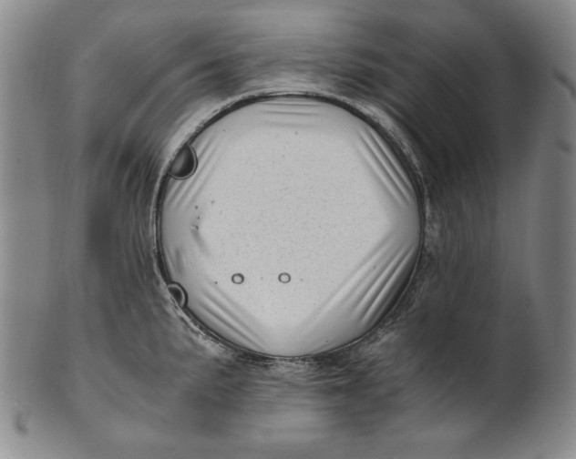 X0000100761191200807101720