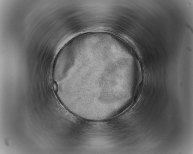 X0000100761192200807101720