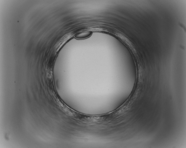 X0000100761193200807101720