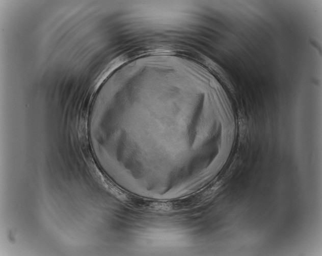 X0000100761194200807101720