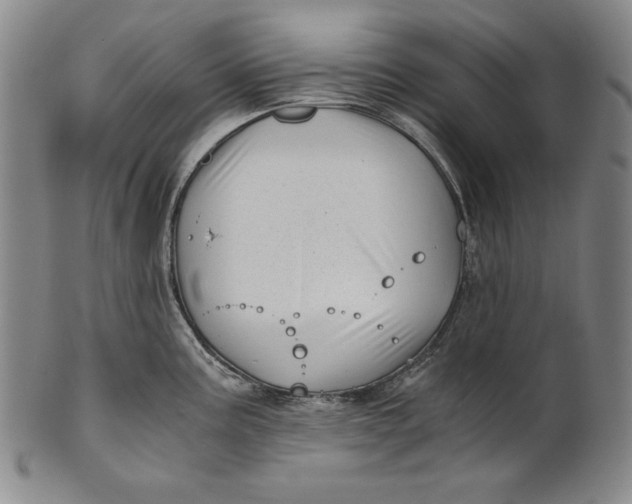 X0000100761195200807101720