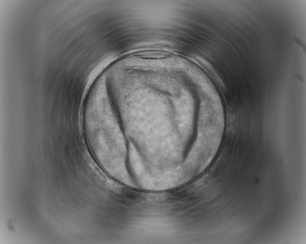 X0000100761196200807101720