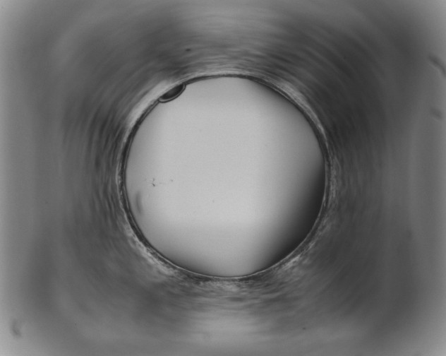 X0000100761197200807101720