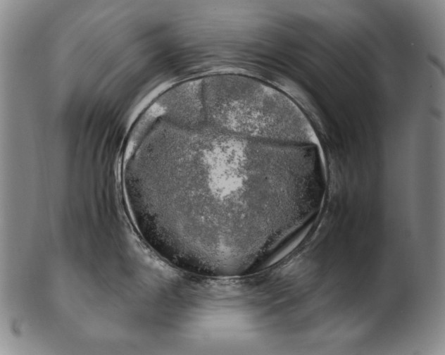 X0000100761198200807101720