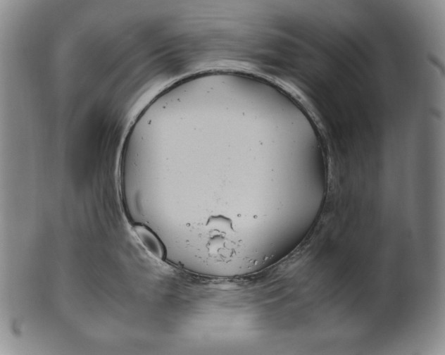 X0000100761199200807101720