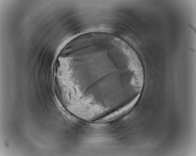 X0000100761200200807101720