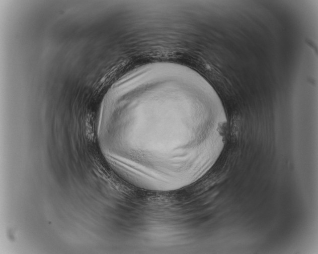 X0000100761202200807101719