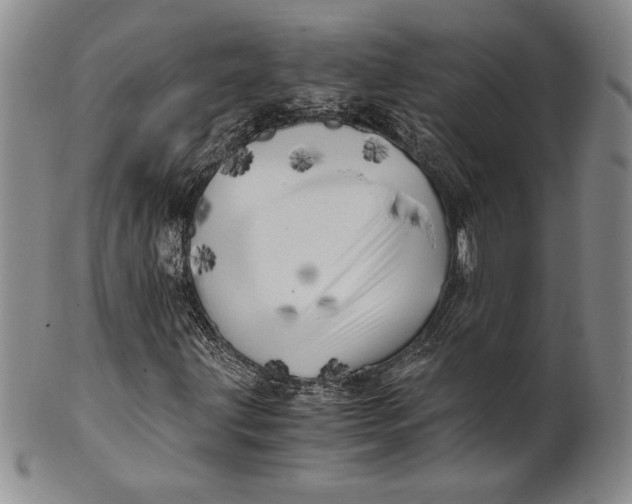 X0000100761203200807101719